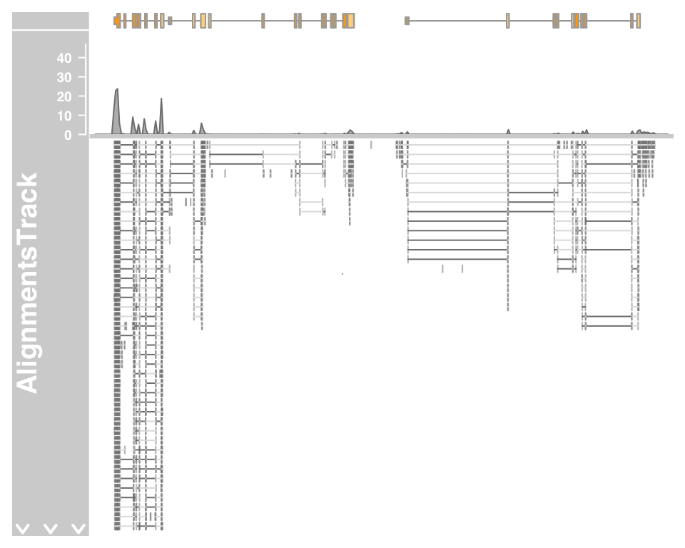 plot of chunk alignementtrack