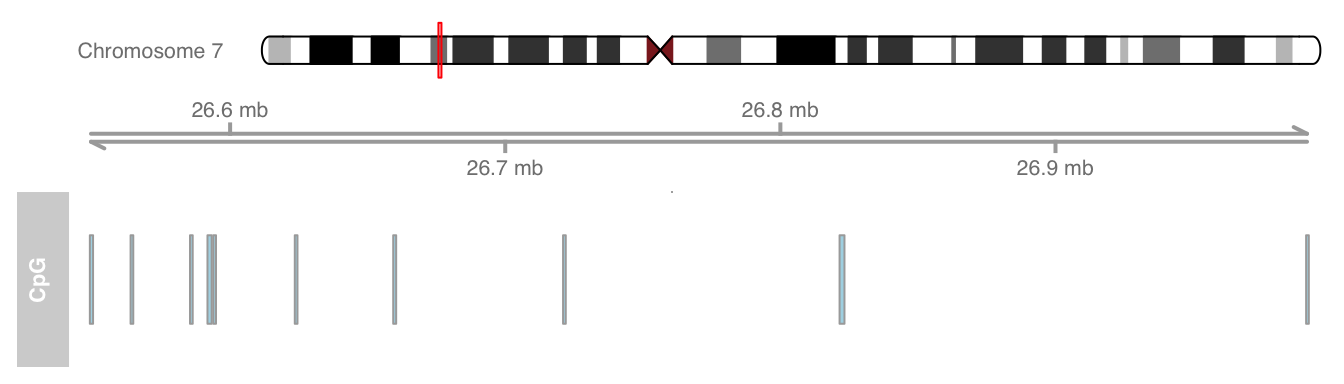 plot of chunk chromosome-ideogram