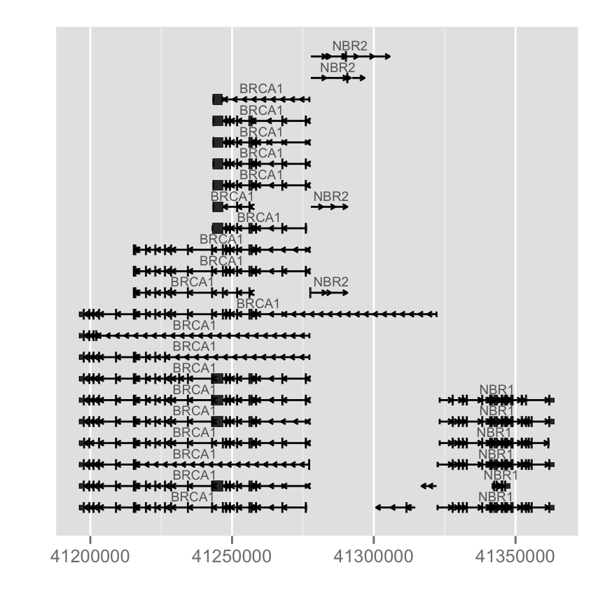 plot of chunk gene-model-from-organismdb