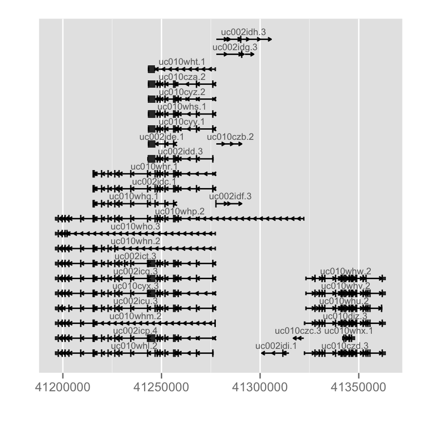 plot of chunk gene-model-from-transcriptdb