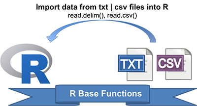 Reading Data From txt|csv Files: R Base Functions