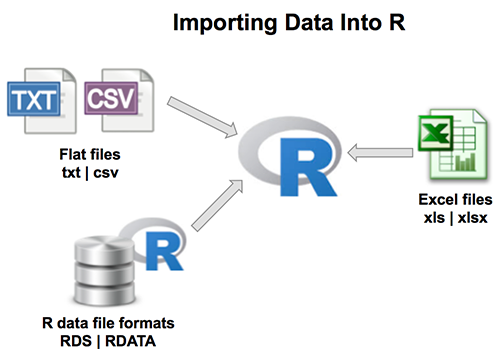Importing data into R
