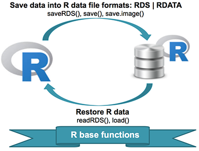 Save data into R data formats