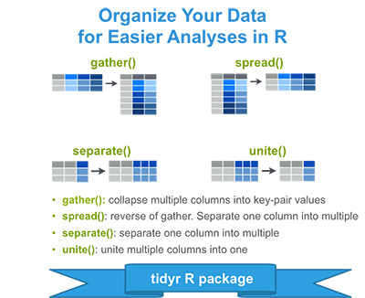 Tidyr: Crutial Step Reshaping Data with R for Easier Analyses